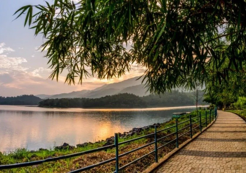 Wayanad – Where Nature Breathes Free