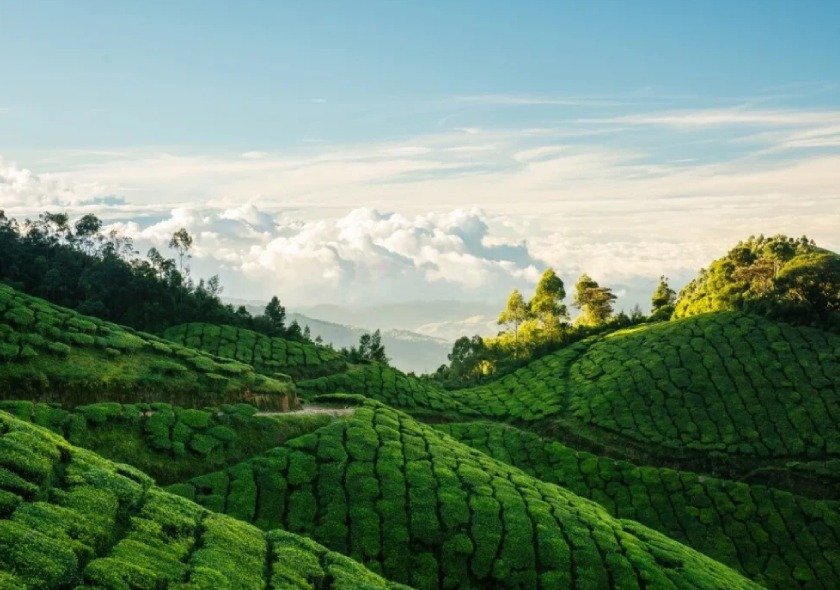 Munnar – Where Love Breathes in the Hills